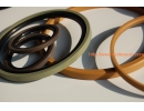 PTFE seals